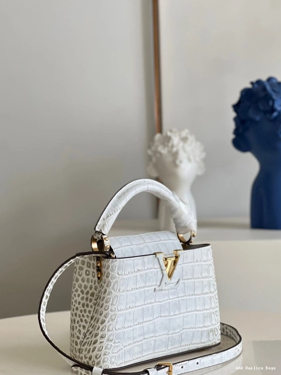 Aaa replica bags VUITTON MINI CAPUCINES LOUIS 0816